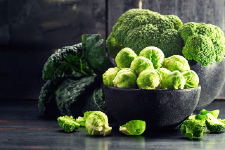 Cules son los cinco alimentos que protegen a la salud