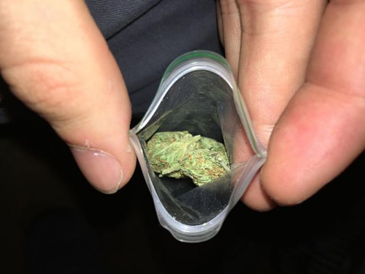 ¿Qué es la marihuana "cripy" y cuáles son los riesgos de su consumo?