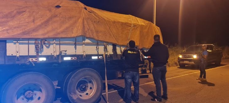 Senad intercepta camión con casi 2.000 kilos de marihuana