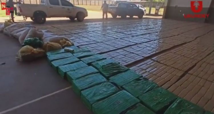 Senad incineró más de 10 toneladas de droga
