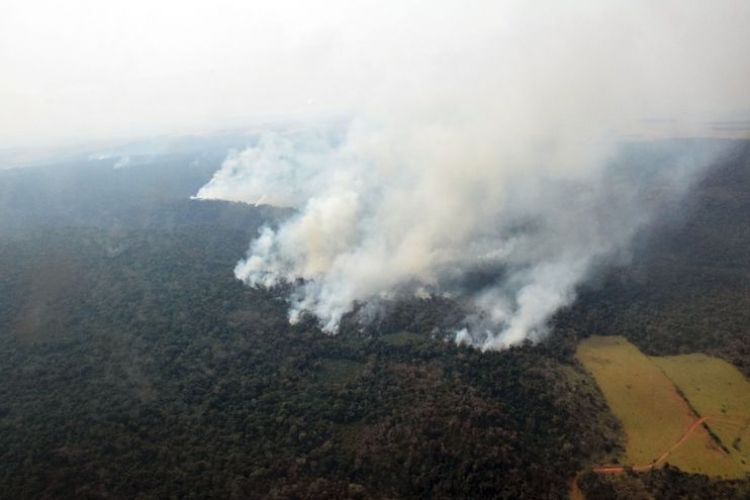 Catstrofe ambiental en Caazap