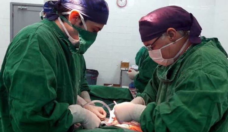La donacin de rganos y tejidos decay 60% durante cuarentena