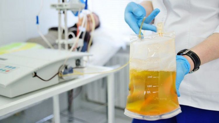 Covid-19: Cmo es el tratamiento con plasma convaleciente?