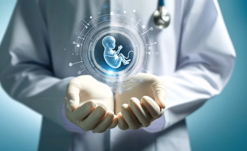 Tasas de éxito en la fertilización in vitro: cómo se usa la tecnología para lograrlo