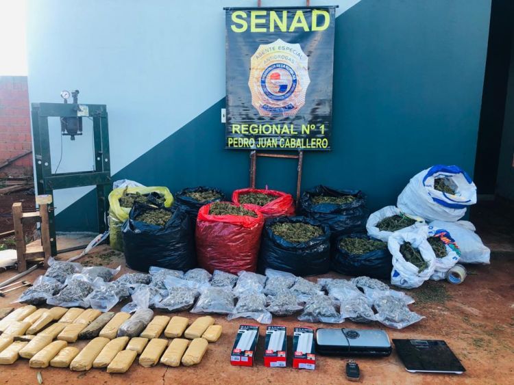 SENAD intervino "envasadora" de Marihuana en PJC
