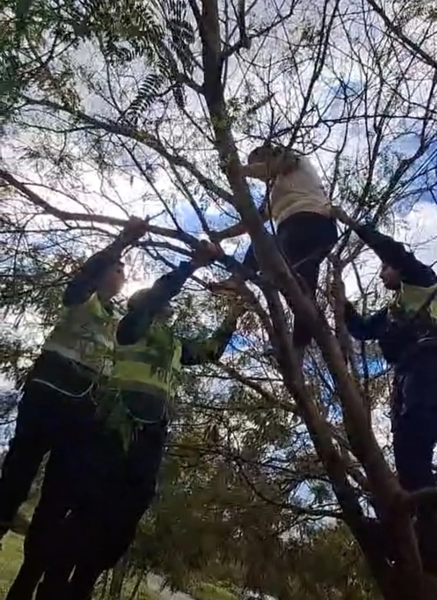Policías logran convencer a una mujer para que no acabe con su vida