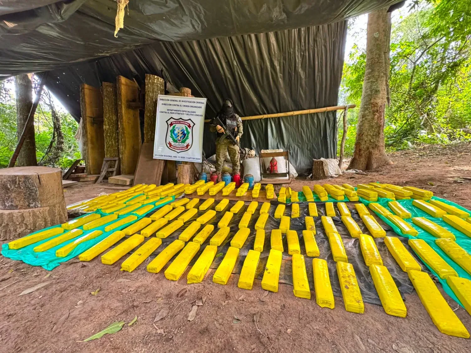 Destruyen cuatro hectáreas de marihuana y 200 kilos prensados en Capitán Bado