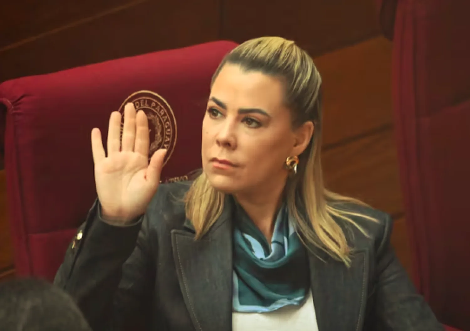 YouTube bloquea Senado TV: Lizarella defiende la libertad tras el reclamo de FIFA