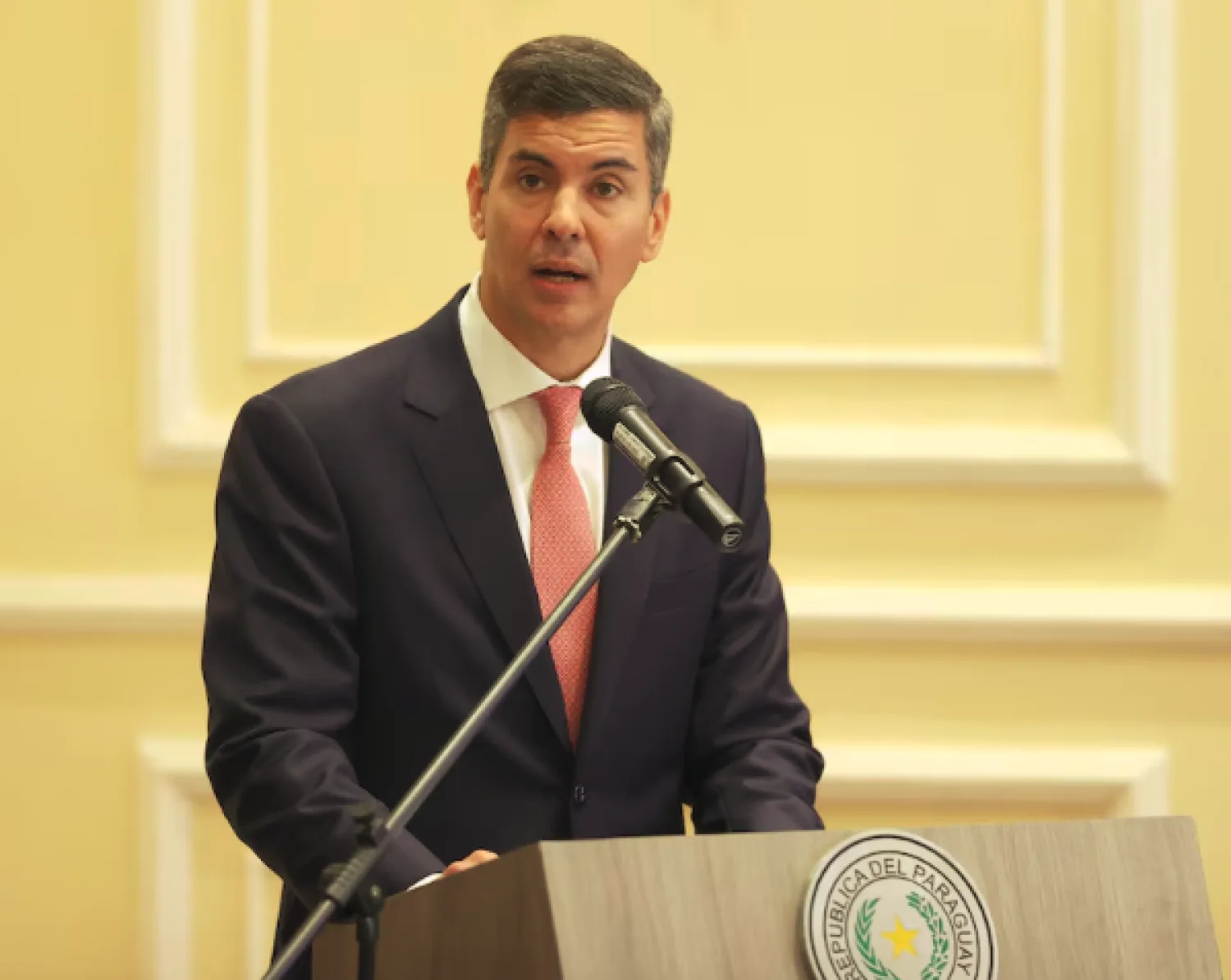 Paraguay pidió al Mercosur garantizar una “participación equitativa” en las cuotas de exportación hacia la UE