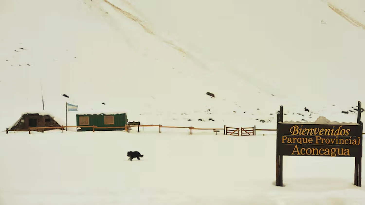 Pasos fronterizos cerrados y camiones varados por intensas nevadas en Argentina