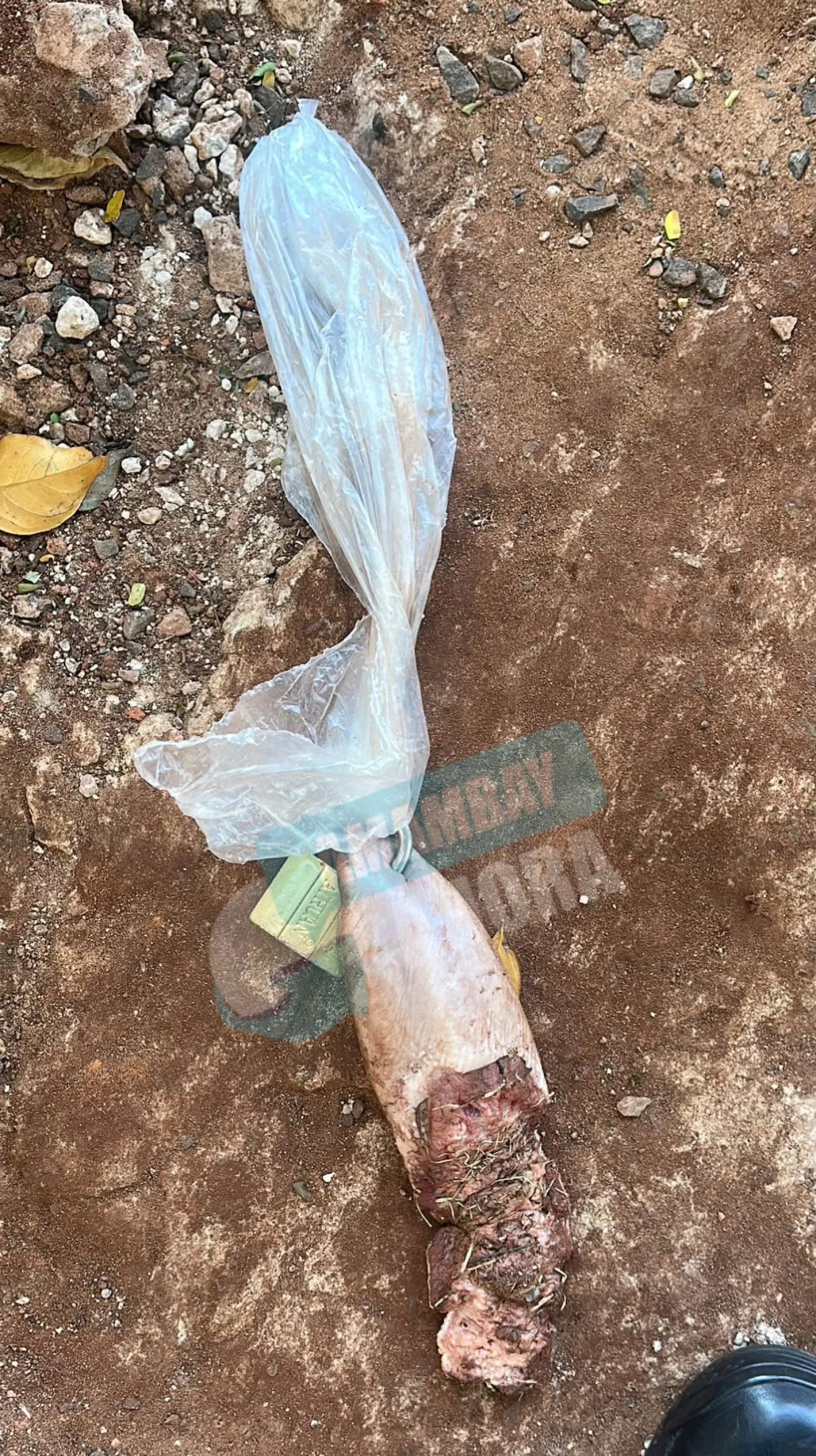 Amenazan de muerte a una joven con una lengua de vaca y candado en Pedro Juan Caballero