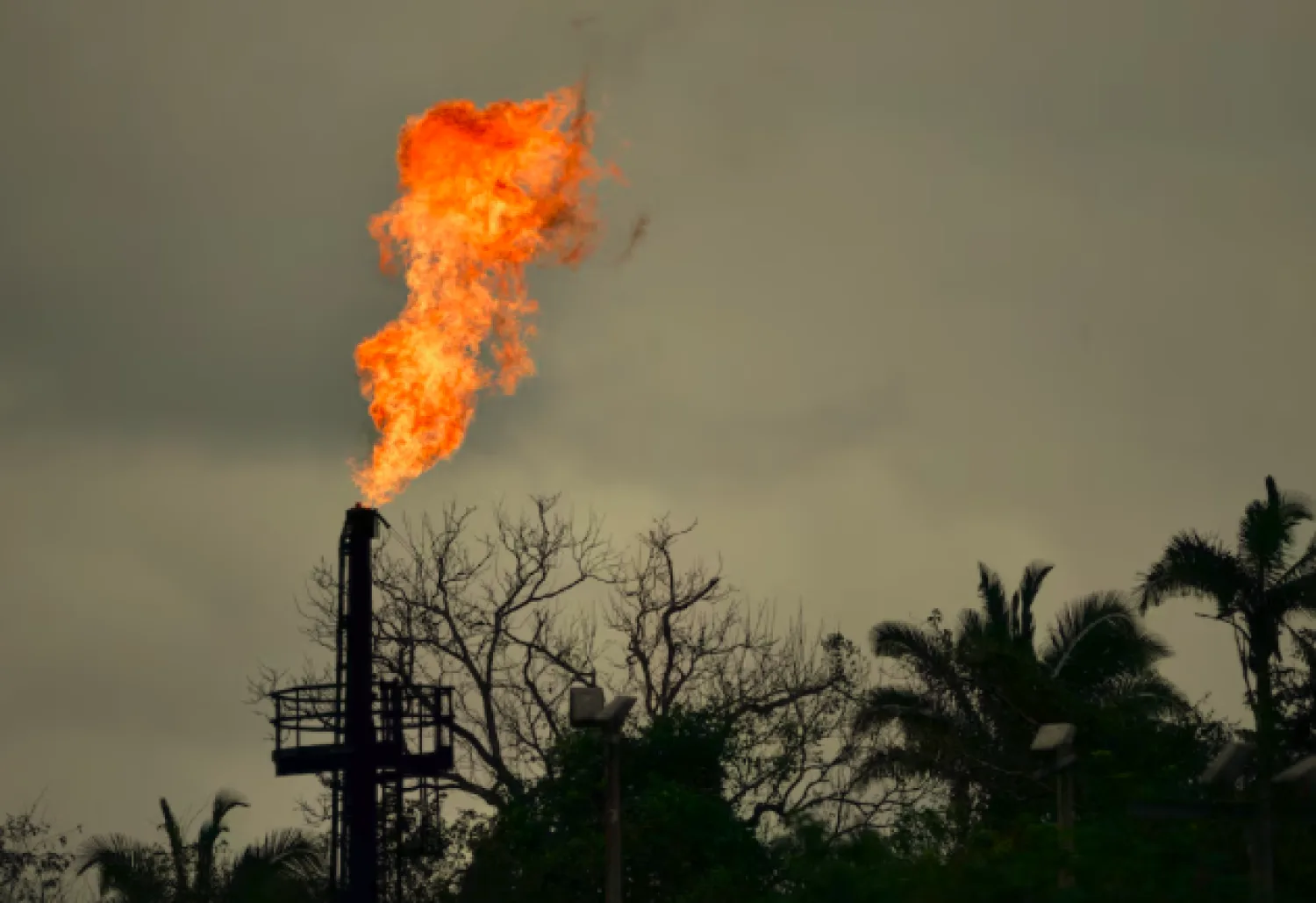 El petróleo cae ante las expectativas de un acuerdo entre Irán y Omán para reabrir Ormuz, mientras EEUU intensifica la presión sobre Teherán