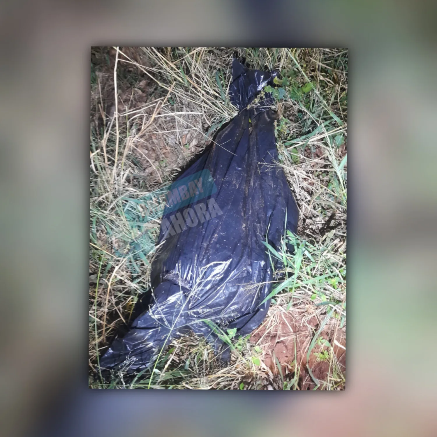 Hallan un cuerpo sin vida en una zona  boscosa de Zanja Pyta