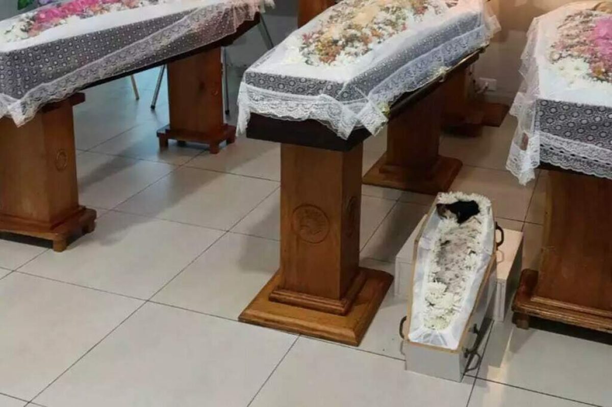 Luego de un accidente trágico: Padre e hijas son velados lado a lado con una cachorrita