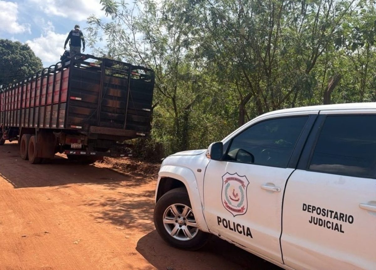 Incautan un camión con 20 animales vacunos sin documentaciones