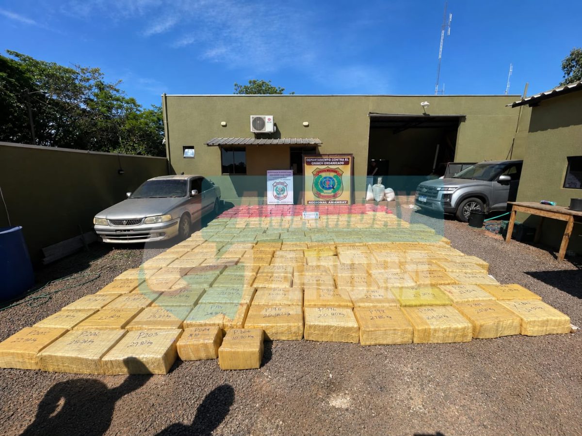Incautan más de 4,6 toneladas de marihuana y estiman perjuicio de G. 1.500 millones