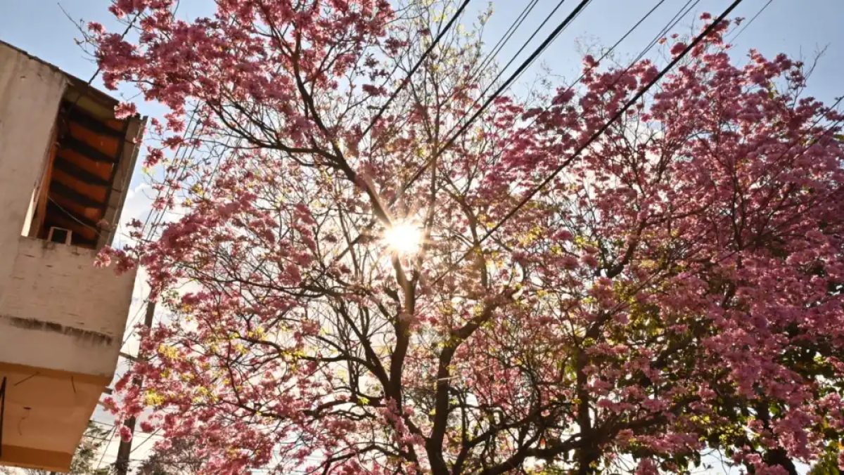 La primavera es recibida con calor, lluvias y un posterior descenso