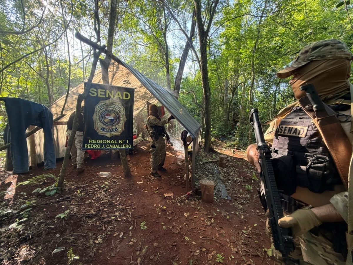 SENAD destruye nueve hectáreas de marihuana y 1.800 kilos de droga en Cerro Corá