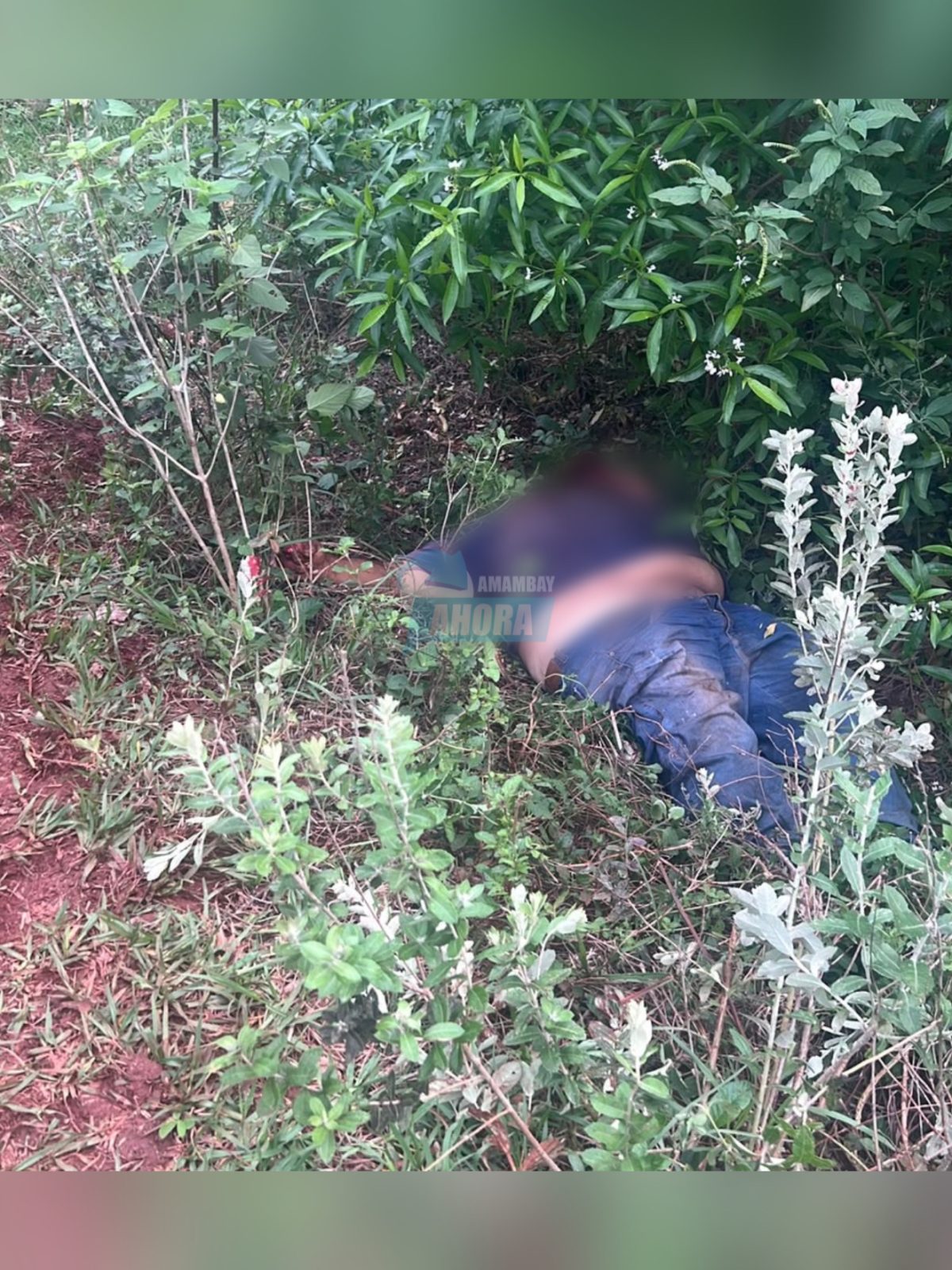 Hallan el cuerpo de un hombre con un disparo en la cabeza en Pedro Juan Caballero