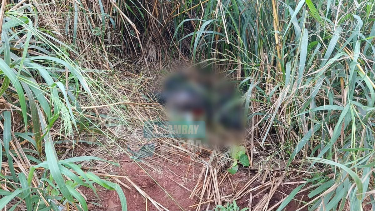 Hallan un cadáver calcinado y desmembrado en PJC