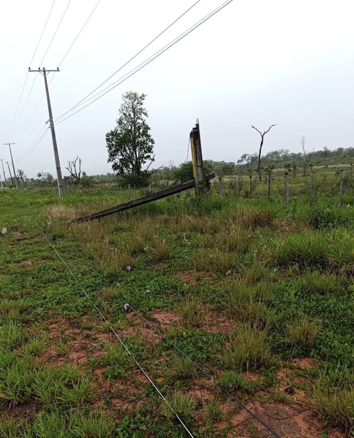 Un temporal derribó columnas de Copaco y cortó las líneas en Pedro Juan Caballero