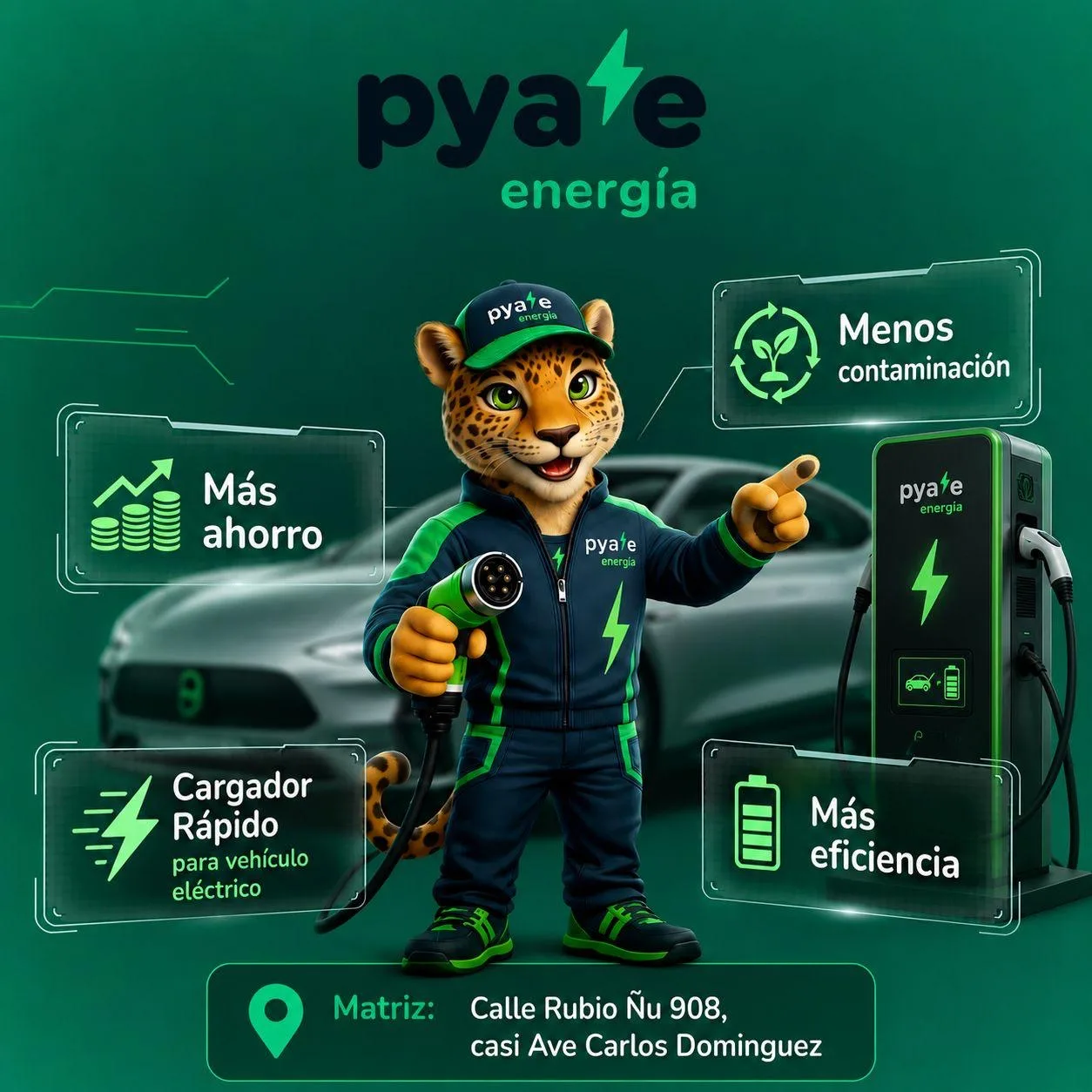 Pya’e Energia